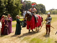 Gowned Horses